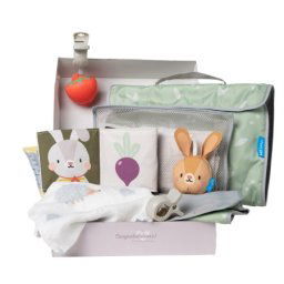 Taf Toys outdoors kit za kolica ( 22114113 )