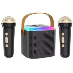 Bavin mini karaoke zvucnik sa 2 mikrofona crna - BM-18