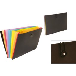 Viquel expanding organizer Rainbow class ( 04CK09 )