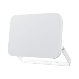 Braytron CCT LED reflektor 100W ( BT60-59180 )