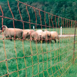Mreža za ovce Sheep net 50m za električnog pastira
