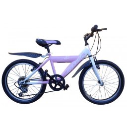 Genesis Aurora 20"/6 Bicikl pink-bela ( BCK0331 )