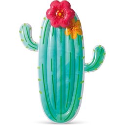 Intex cactus float ( 58793EU )