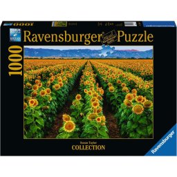 Puzzla Suncokreti RA15288