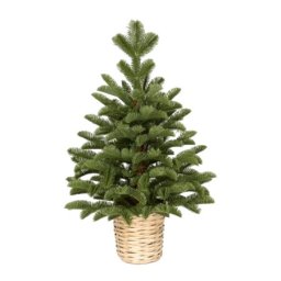 Novogodisnja jelka u saksiji zelena 60cm 250310