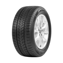 Davanti 255/50R19 107V Wintoura SUV zimska DOT23 ( 013771 )
