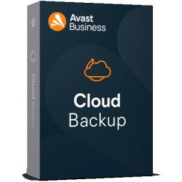Avast business cloud backup ( cbw.0.12m )