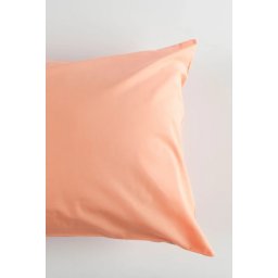 Jastucnica sifon 40x60-d kajsija ( 14-9123 )