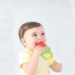 Infantino glodalica sa vibracijom Jagoda( 22115075 )