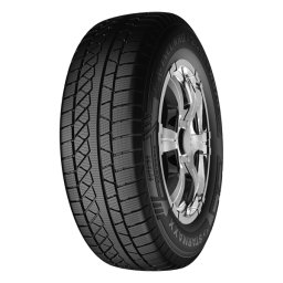 315/35 R20 - RUN FLAT 110V INCURRO WINTER W870