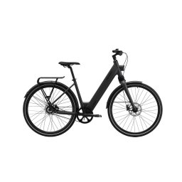 MS ENERGY eBike c300