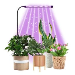 LAMPA ZA BILJKE Jednostruka R+B 4W USB PROSTO