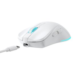 Baracuda BGM 122 Turtle Wireless Mouse White