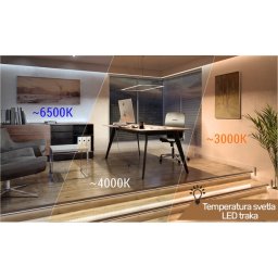 LED TRAKA KU-2835S-240-WW 24V IP20 (5met,20W/met,10mm)