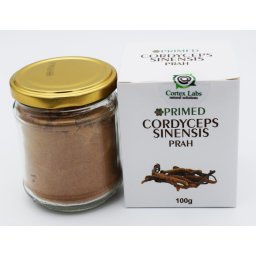 CORDICEPS SINENSIS PRAH 100g