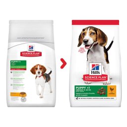 Hill's Science Plan hrana za pse Medium Puppy Piletina 14kg