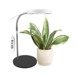 Jednostruka lampa za biljke 8W sa postoljem ( LB-TL-01/RBY )