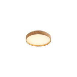 Rabalux Leana2 plafonjera ( 71143 )