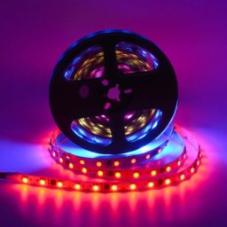 RGB pixel LED traka 60 LED/m WS16703 IP20 12V ( LTR5050/60RGBpix-12E )