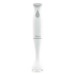 Tesla HB 100WG