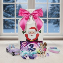 Novogodišnji Paketić za Devojčice – Barbie Zimska Avantura ( NP19 )