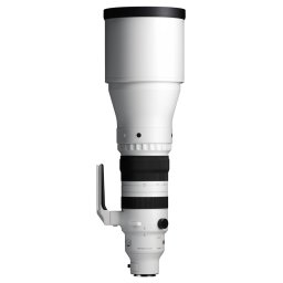 Sigma 300-600mm f/4 DG OS Sports Lens (L-Mount)