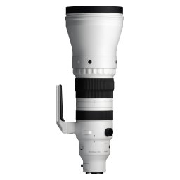 Sigma 300-600mm f/4 DG OS Sports Lens (Sony E)