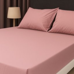 Čaršav Ranforce 100% pamuk 160x240cm bez lastiša F41 ( VLK000536-f41 )