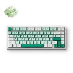 McHose G75 Pro Mehanička green Bežična gaming tastatura
