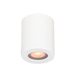 Plafonska lampa 1xGU10 bela IP65