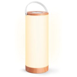 TaoTronics LED Lampion