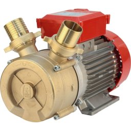 Rover BE-M 50 Bronza Električna pumpa