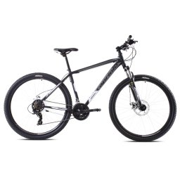 Oxygen 29" 2020