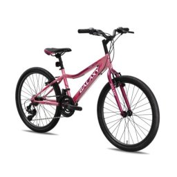 Galaxy Bicikl galaxy festina 24"/18 roza ( 650005 )