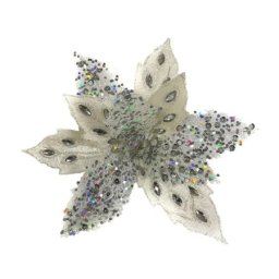 Festa blossom novogodišnji cvet šampanjac 24cm ( 780611 )