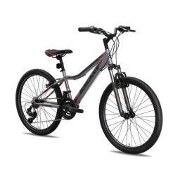 Galaxy Bicikl galaxy festina fs 24"/18 siva/crvena mat ( 650050 )
