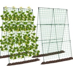 Potpora oblik A za krastavac i biljke u setu 0,85x122cm 4/1 ( 19737 )