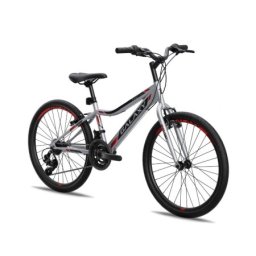 Galaxy Bicikl galaxy festina 24"/18 siva/crna/crvena mat ( 650242 )