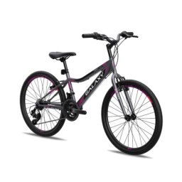 Galaxy Bicikl galaxy festina 24"/18 siva/crna/roza mat ( 650243 )