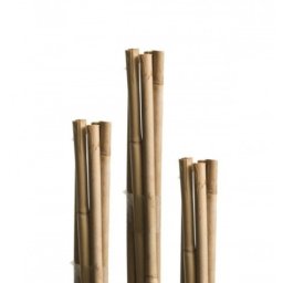 Windhager bambus štap 7 kom ( WH 05607 )