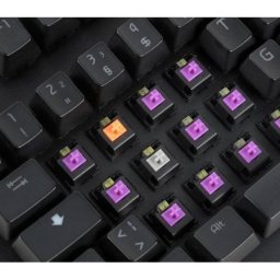 Epicgear 262557 EG Switch Grey/Orange/Purple 8 Pack