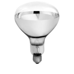 Sijalica temperaturna 100W (kvočka) ( 15193 )