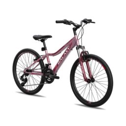 Galaxy Bicikl galaxy festina fs 24"/18 roza/bordo mat ( 650241 )