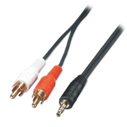 Fast Asia Audio kabl (3,5mm stereo jack na 2 RCA jack) 3m ( 77 )