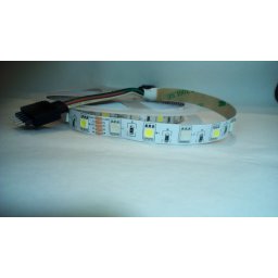 XLED 5050 RGB+W 60D 24V Led traka,5 m kotur