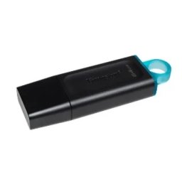 Kingston USB Flash memorija 64GB DTX/64GB ( 83002 )
