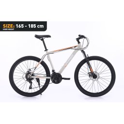 Xplorer MTB bicikl DENVER Sivi 26"