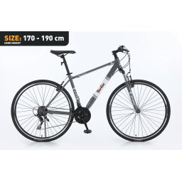 Xplorer City bike BERLIN Gray 28"
