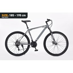 Xplorer MTB bicycle MATTERHORN Gray 29"