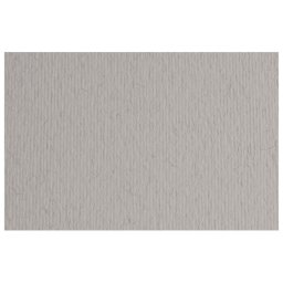 Papir u boji A4 220g Elle Erre Fabriano 42450730 svetlo sivi (china) pk50